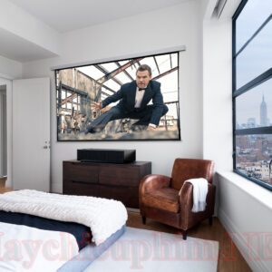 may chieu phim 4k sony vpl vz1000es f 2