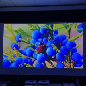 Máy chiếu mini FullHD LG HF60LS LED 30.000 giờ new 99% LG HF60LS 2