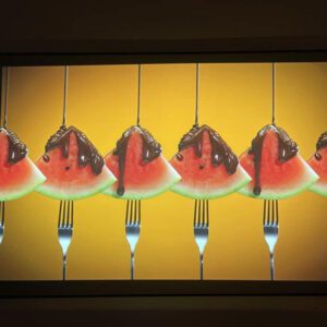 312580749 1509047956224682 8624159634170137435 n