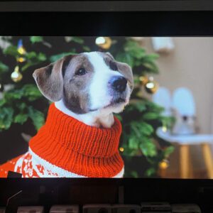 Máy chiếu cũ OPTOMA GT1080 dòng chiếu gần benq tk700 2