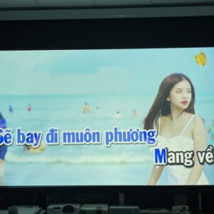 Máy chiếu panasonic vw355n