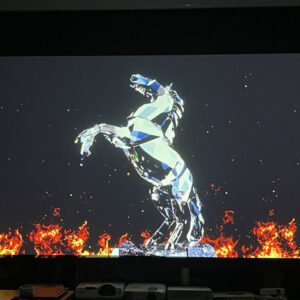 Máy chiếu panasonic vw355n