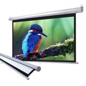 Màn chiếu treo tường 135 inch MAN CHIEU TREO TUONG DALITE 3 699x520 600x446 1
