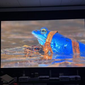 Máy chiếu 4K Epson 3200 Home Cinema lướt 877h IMG 3657