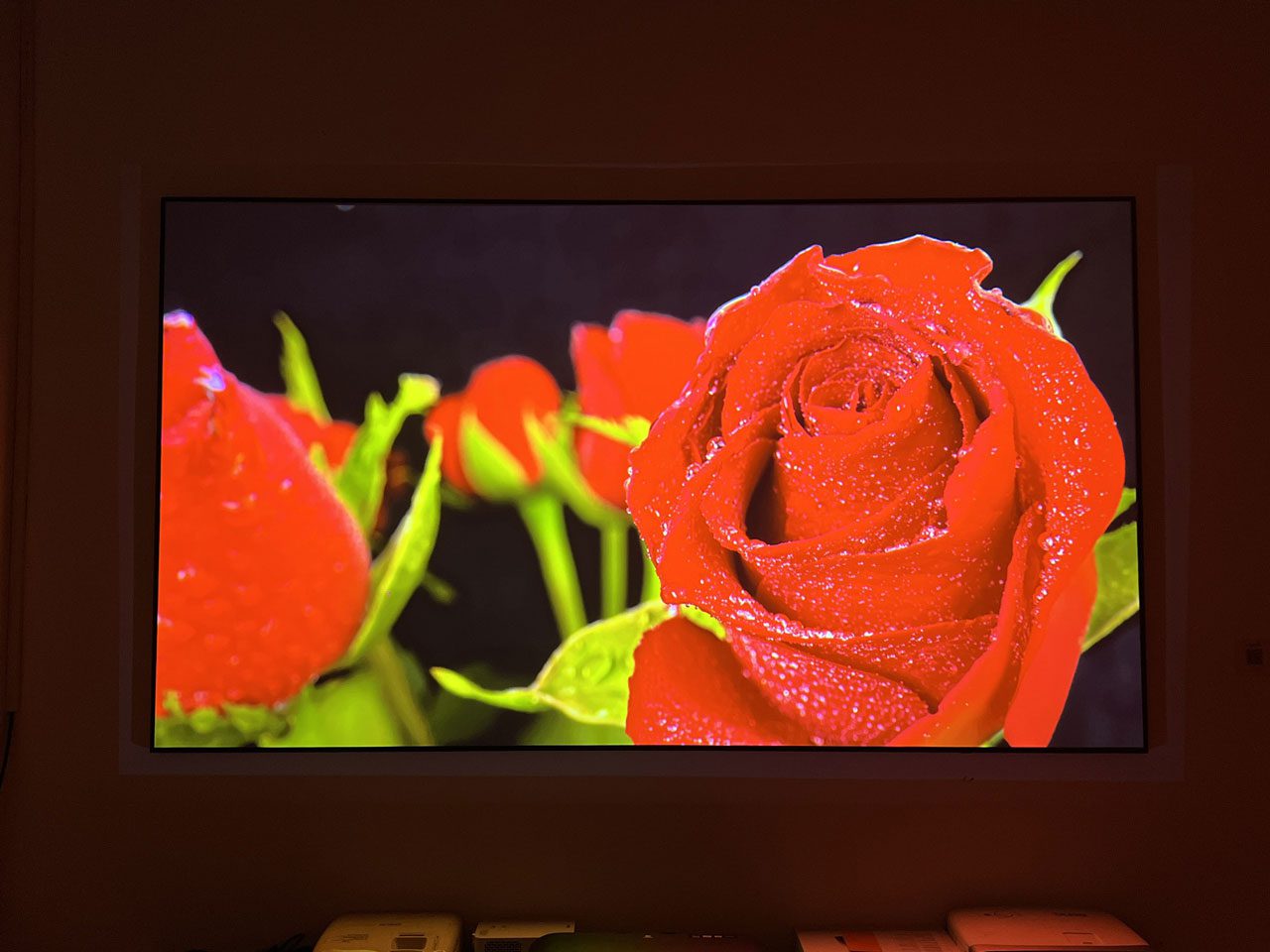 epson ls300b 3