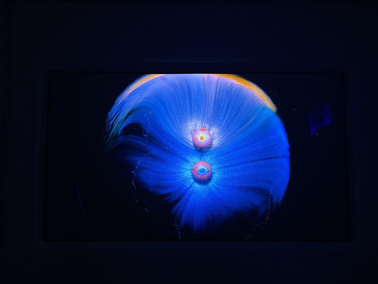 epson ls300b 4