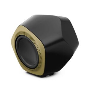 LOA B&O BEOLAB 19 BRASS LOA BO BEOLAB 19 BRASS Zamaco Audio 2