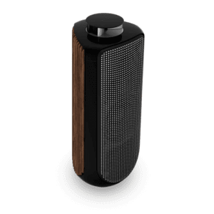 Loa B&O BeoLab 50 Loa BO Beolab 50 Zamaco Audio 4