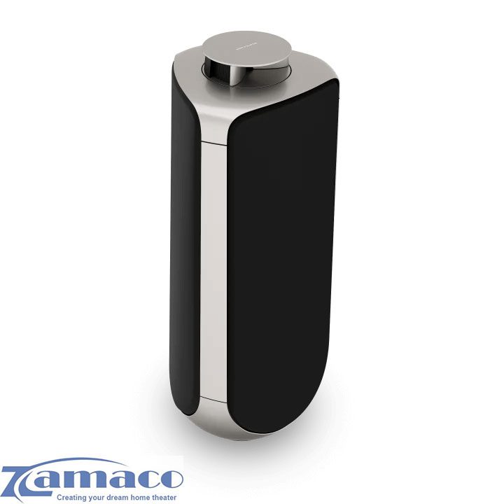 Loa B&O BeoLab 50 Loa BO Beolab 50 Zamaco Audio 5