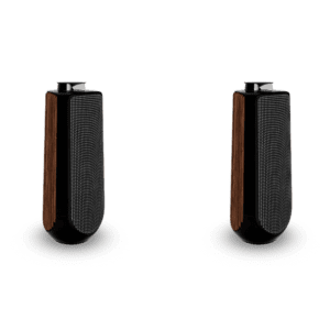 Loa B&O BeoLab 50 Loa BO Beolab 50 Zamaco Audio 6