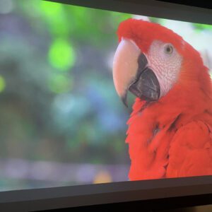 epson eb 536wt zamaco