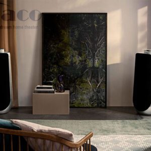 Loa B&O BeoLab 50 loa b o beolab 50 1