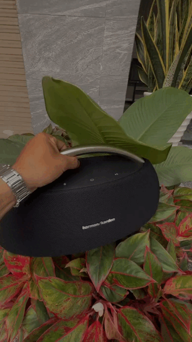 a8d3bd51443c4e30aef0ff1591acc432 1