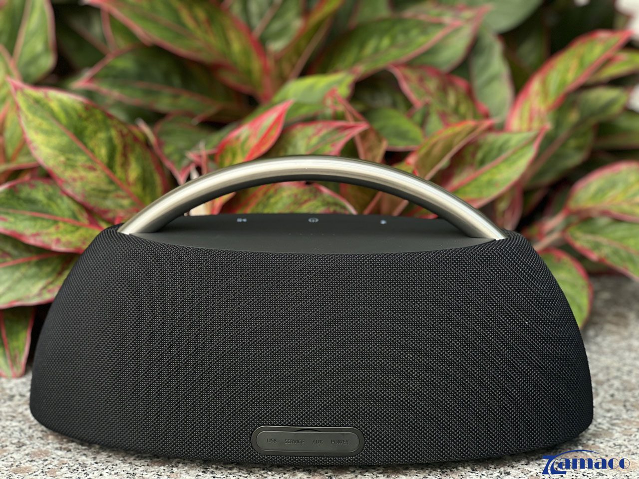 jbl harman kardon go play 1