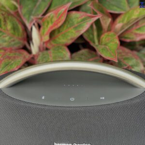 z4207111330089 98bf80684cf88e7fe6c93ac4c8536030 1