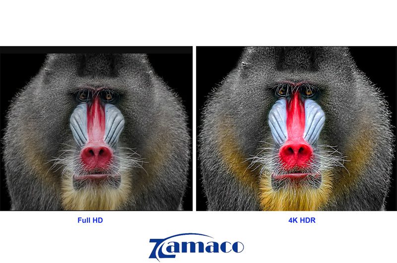 Máy chiếu ViewSonic X11-4KP Untitled 1
