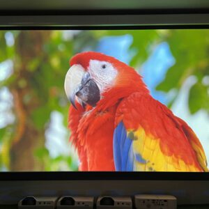 z4318647047831 29a7f74a1277572ab6d59e82bde71b71