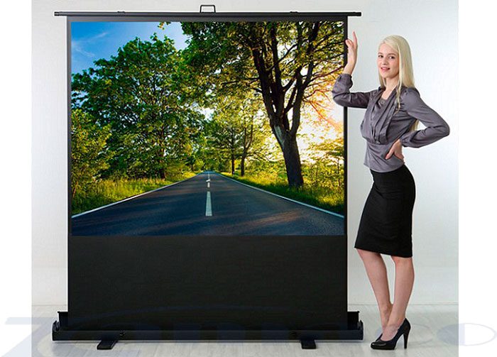 Màn chiếu để sàn EXZEN 110inch di động, nhỏ gọn exzen 80inch zamaco 2
