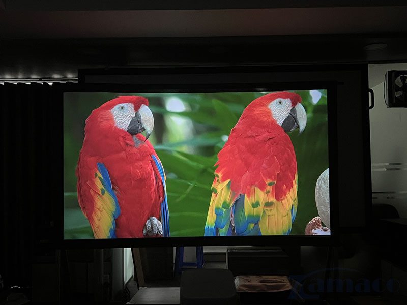 Máy chiếu Dangbei Emotn N1 Full HD