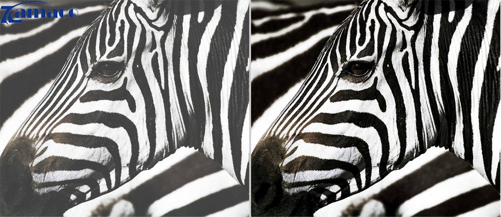 may chieu laser 4k uhd optoma zk608tst 02