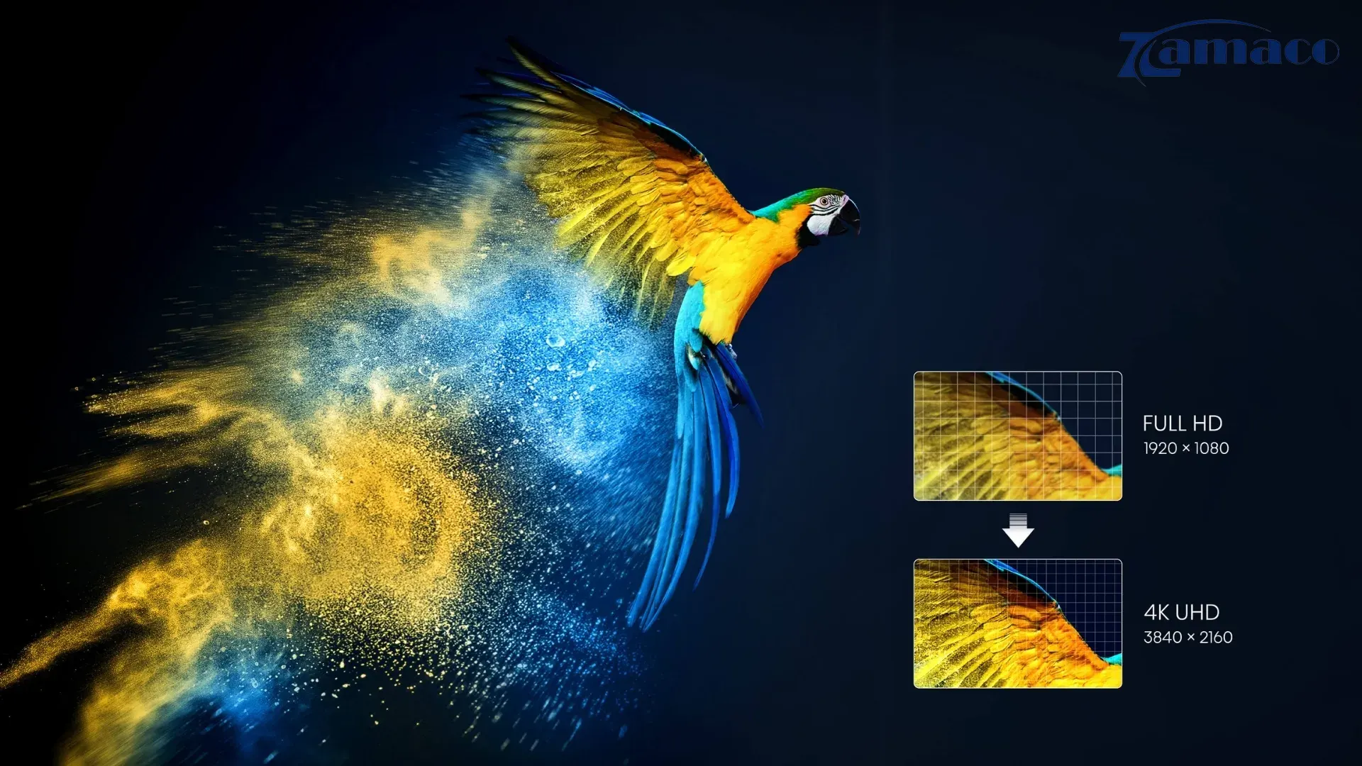 Hình ảnh 4K sắc nét, trải nghiệm HDR chuẩn