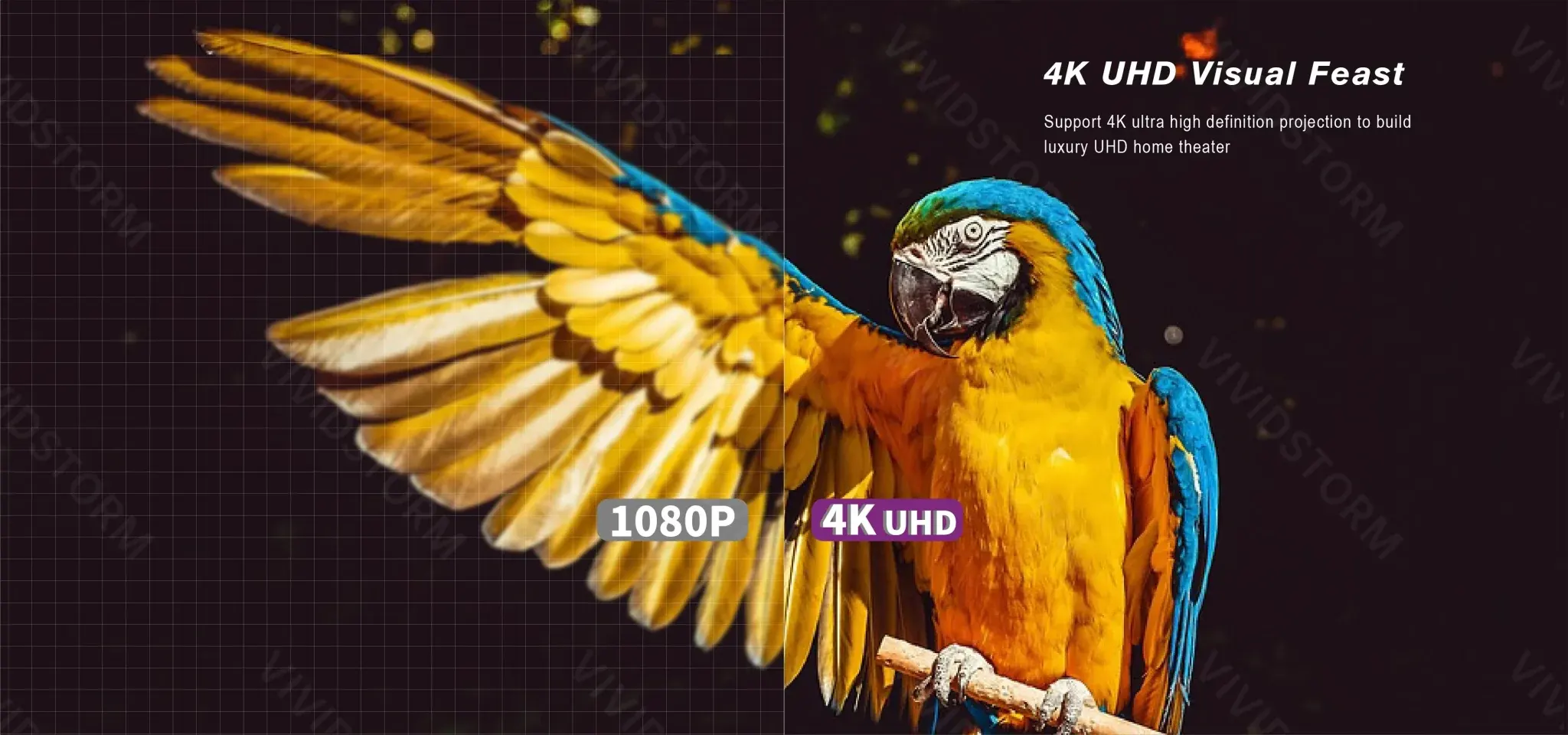 Màn chiếu quang học VIVIDSTORM Fusion VCVFFEHS100H 100 inch (16:9) – Chiếu xa mc8 4