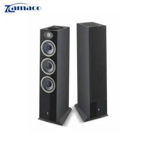 Loa Focal Theva N3-D loaa2 2