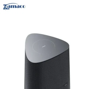 Loa Loewe klang mr5 – 180W tích hợp subwoofer loaa2 3