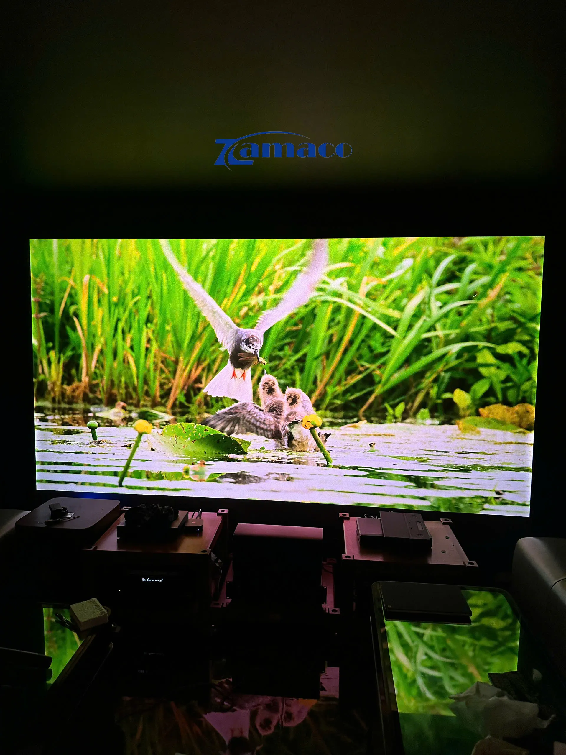 DỰ ÁN LẮP ĐẶT MÁY CHIẾU VIEWSONIC LX700-4K RGB + KHUNG NÂNG CM76X + MÀN QUANG HỌC VIVIDSTORM 135” Màn để sàn quang học VividStorm 135 inch, hiển hình ảnh sắc nét, trong sáng