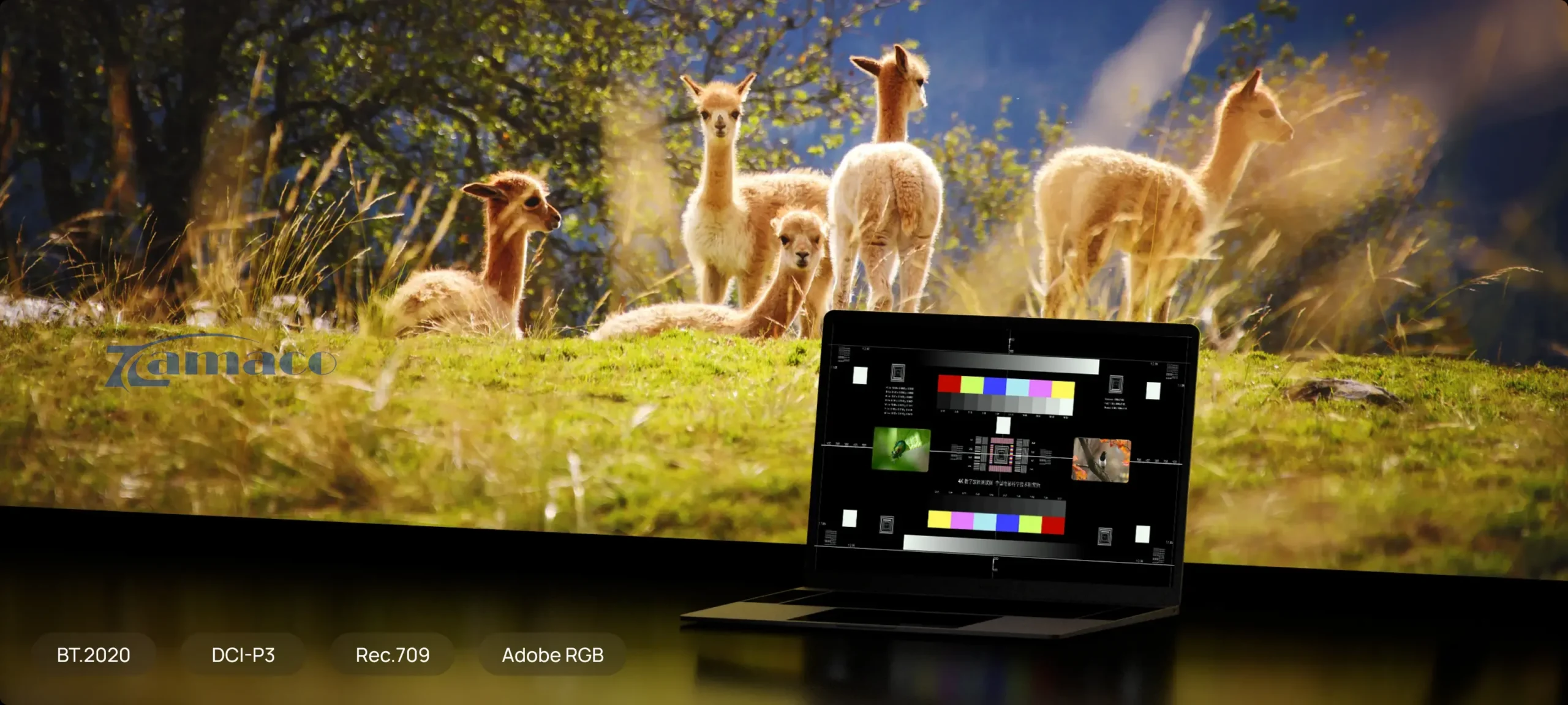 Máy Chiếu XGIMI HORIZON 20 Hình ảnh trung thực sống động, mang lại trải nghiệm tuyệt vời dành cho bạn với XGIMI HORIZON 20