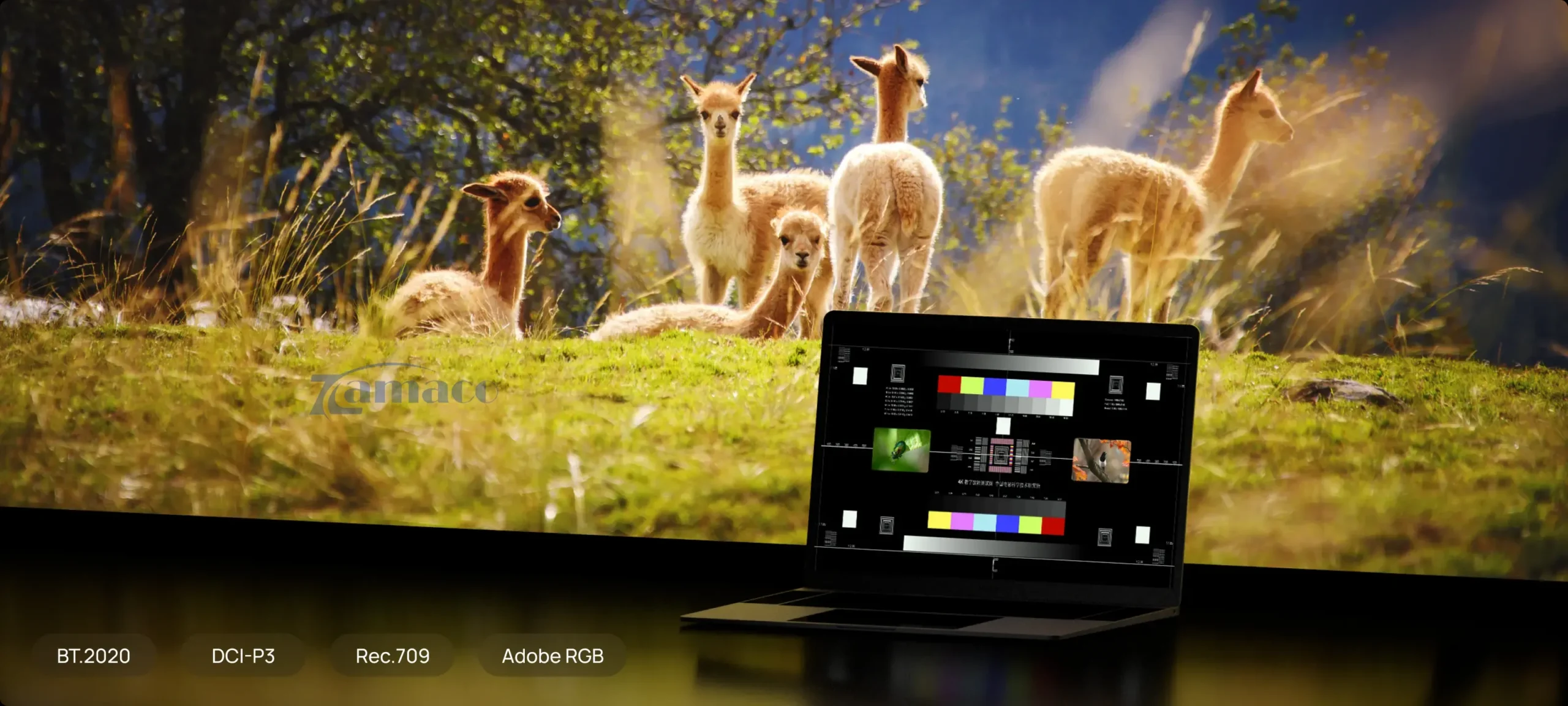 XGIMI HORIZON 20 Pro được trang bị hệ thống hiệu chỉnh hình ảnh tiên tiến, tự động tối ưu khung hình, màu sắc và độ nét để đạt chất lượng hiển thị chính xác và ổn định.